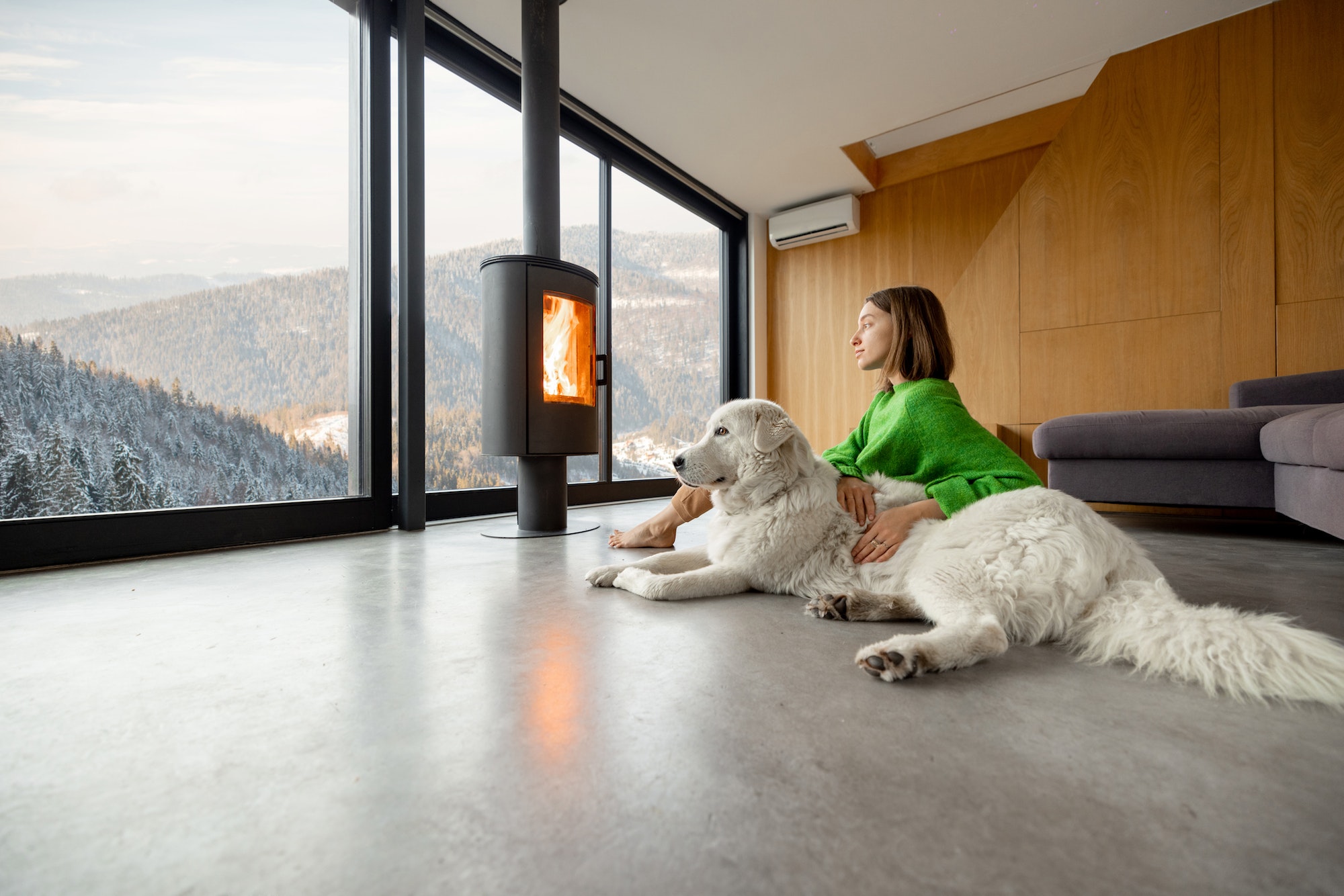 Woman with dog at house on the mountains in winter